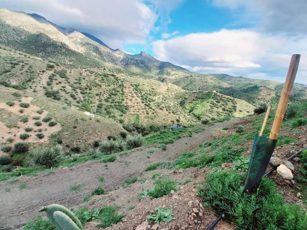 Terreno en Canillas de Aceituno