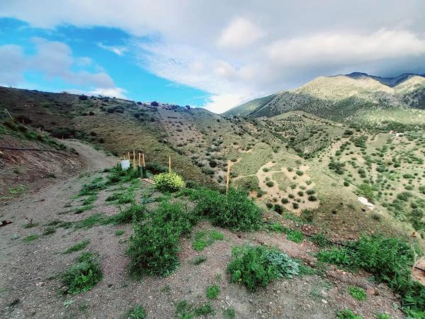 Terreno en Canillas de Aceituno