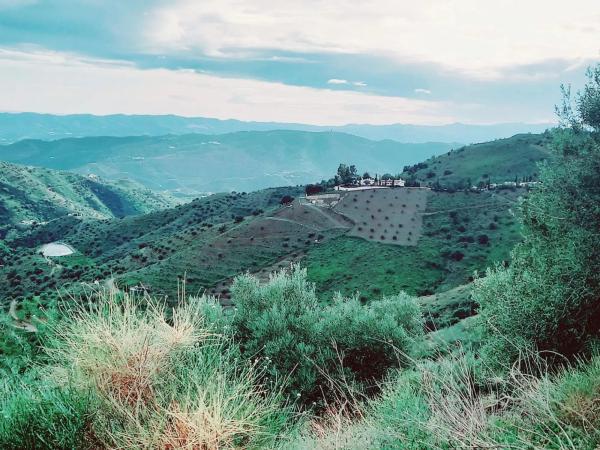 Terreno en Canillas de Aceituno