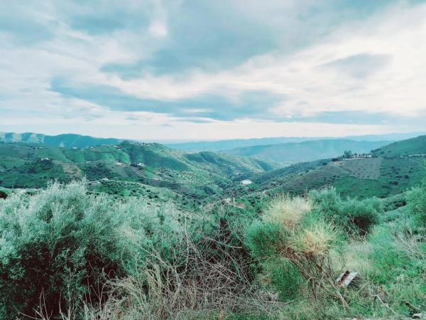 Terreno en Canillas de Aceituno