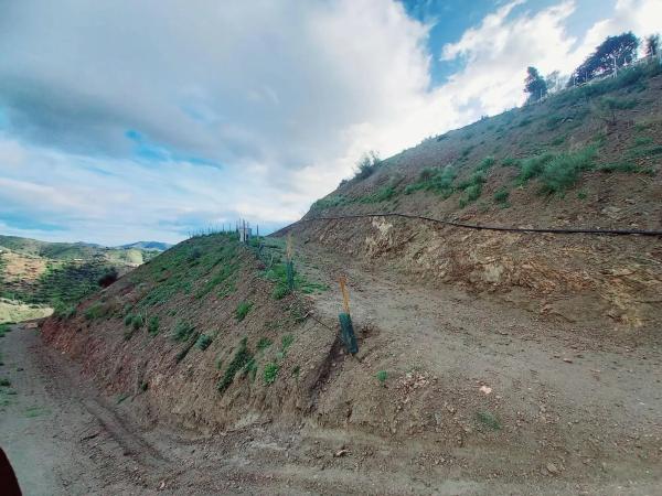 Terreno en Canillas de Aceituno