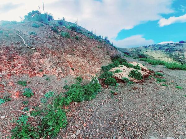 Terreno en Canillas de Aceituno
