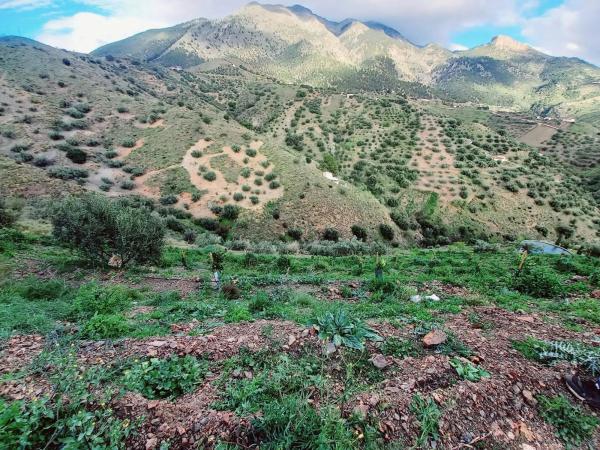 Terreno en Canillas de Aceituno