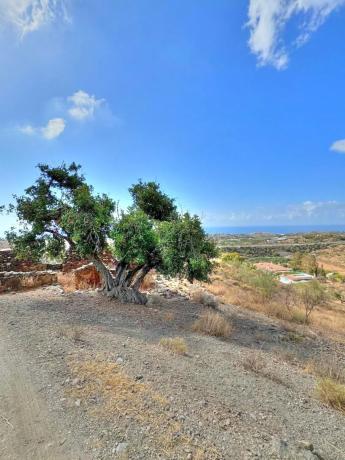 Terreno en Benajarafe