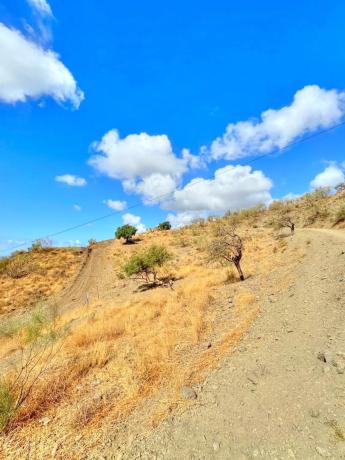 Terreno en Benajarafe