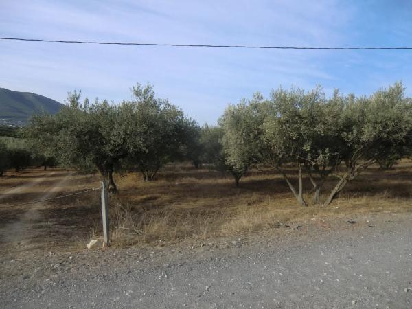 Terreno en Ballesteros