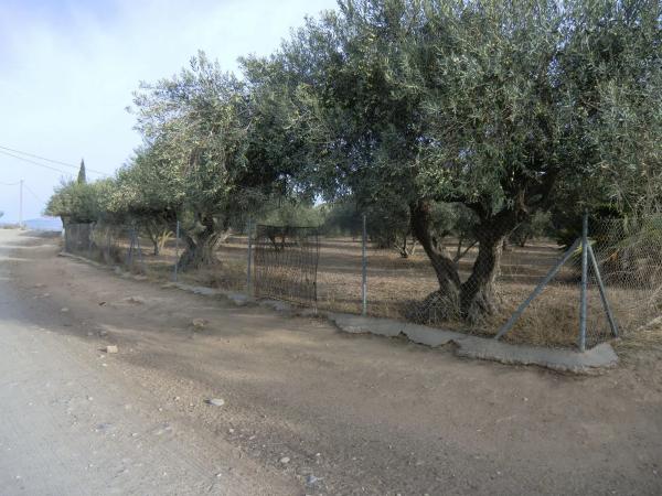 Terreno en Ballesteros