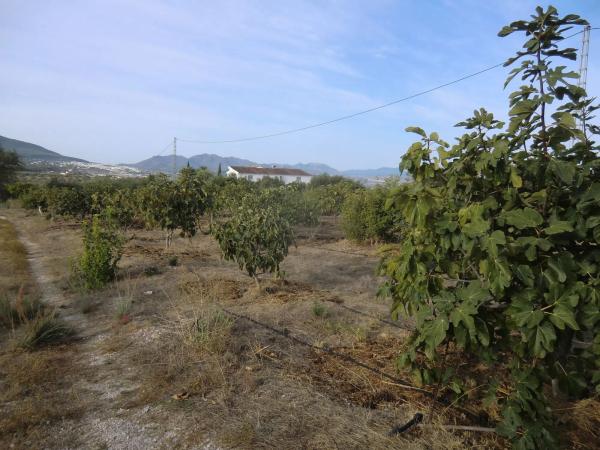 Terreno en Ballesteros