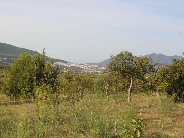 Terreno en Ballesteros