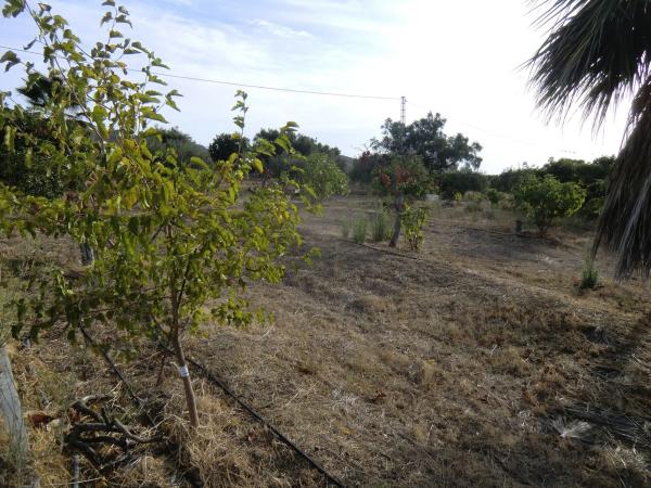 Terreno en Ballesteros