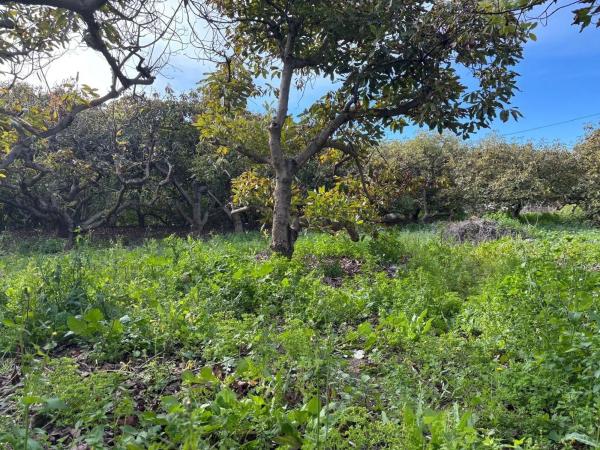 Terreno en Alhaurín Golf