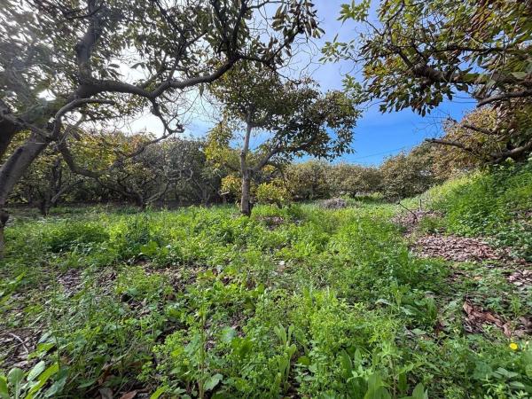 Terreno en Alhaurín Golf