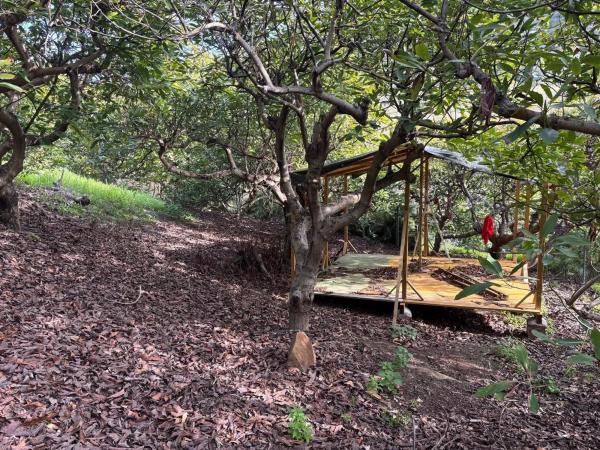 Terreno en Alhaurín Golf