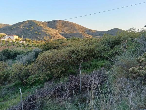 Terreno en Alhaurín Golf