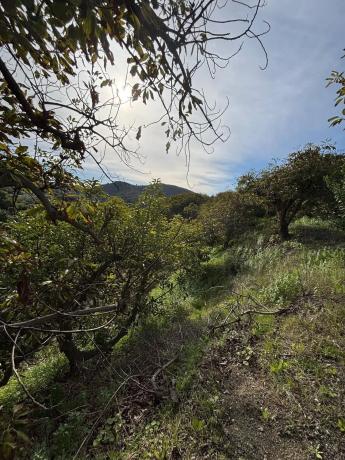 Terreno en Alhaurín Golf