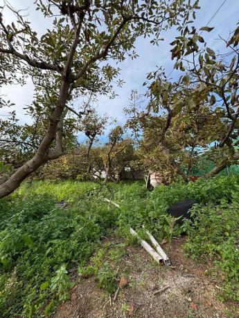 Terreno en Alhaurín Golf