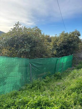 Terreno en Alhaurín Golf