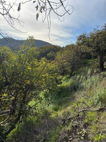 Terreno en Alhaurín Golf