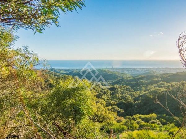 Terreno en calle Madrid