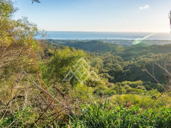 Terreno en calle Madrid