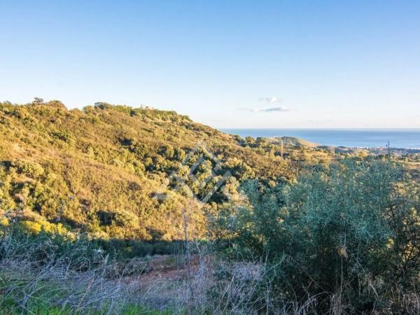 Terreno en calle Madrid