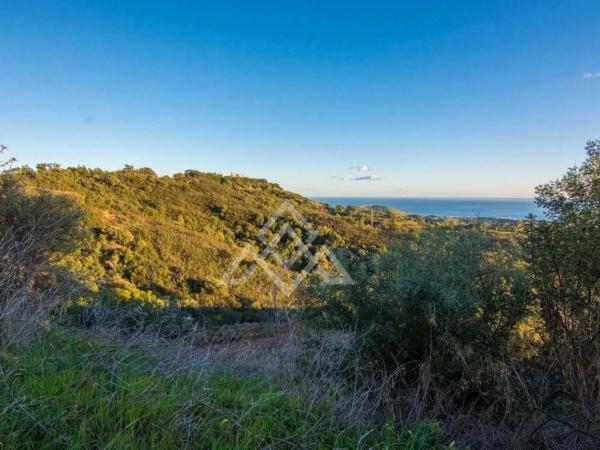 Terreno en calle Madrid