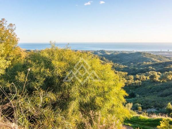 Terreno en calle Madrid