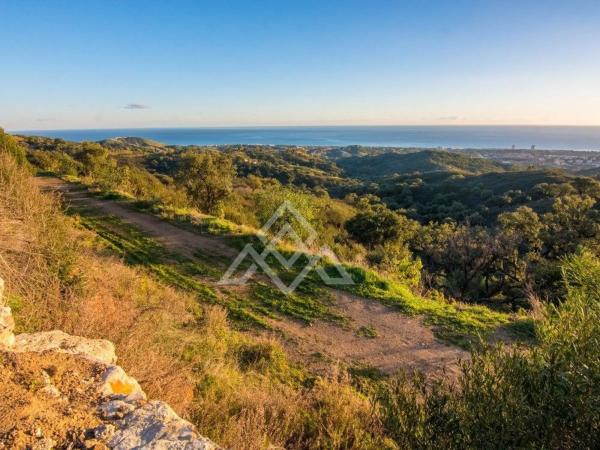 Terreno en calle Madrid