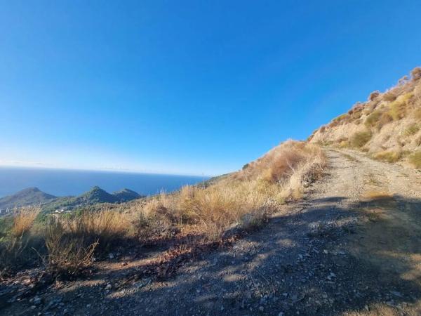 Terreno en Capistrano