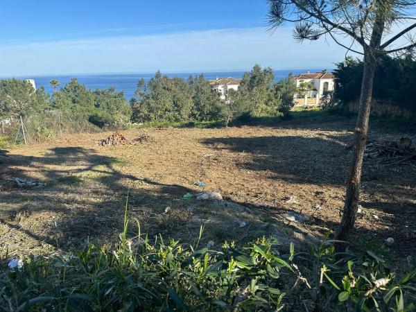 Terreno en calle Tubalitas, 166