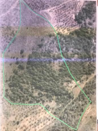 Terreno en carretera Paraje de Pereira s/n