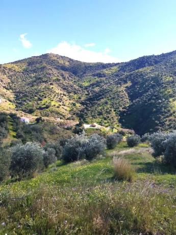 Terreno en calle Arroyo Totalán