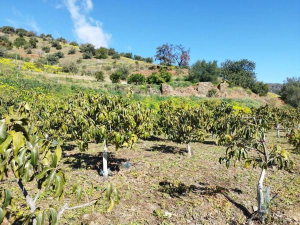 Terreno en calle Arroyo Totalán
