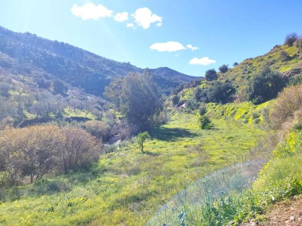 Terreno en calle Arroyo Totalán