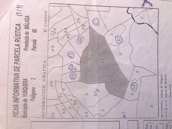 Terreno en carretera Paraje de Pereira s/n