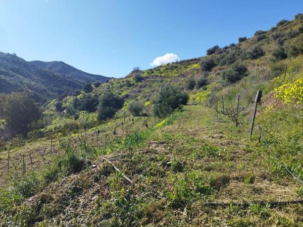 Terreno en calle Arroyo Totalán