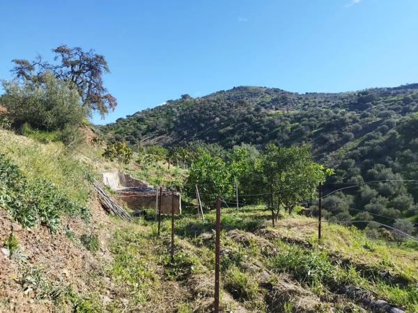 Terreno en calle Arroyo Totalán