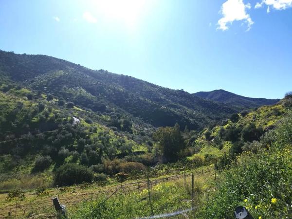 Terreno en calle Arroyo Totalán
