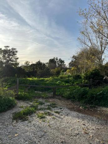Terreno en Agricultural Land, 4915204 r