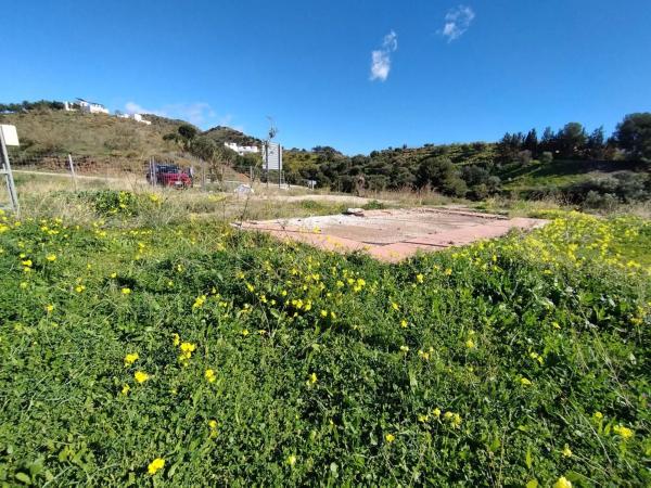 Terreno en alto cañuelo