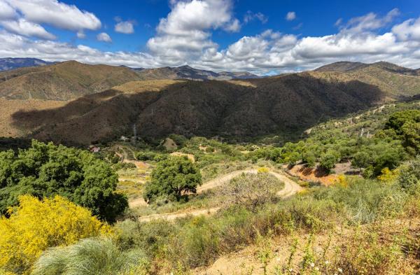 Terreno en La Romera s/n