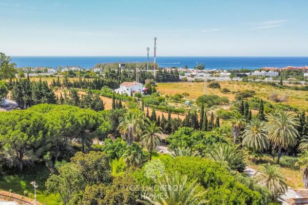 Terreno en Diseminado Reinoso