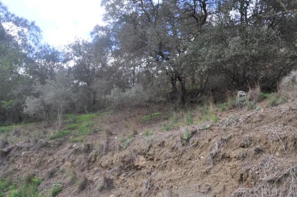 Terreno en Las Lomas - Las Torres - Terrazas de Alhaurín