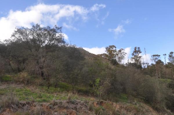 Terreno en Las Lomas - Las Torres - Terrazas de Alhaurín