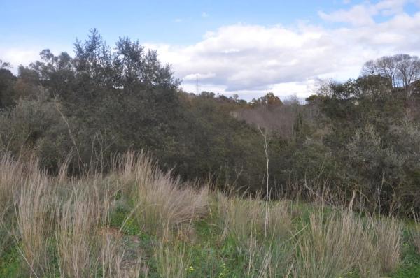 Terreno en Las Lomas - Las Torres - Terrazas de Alhaurín