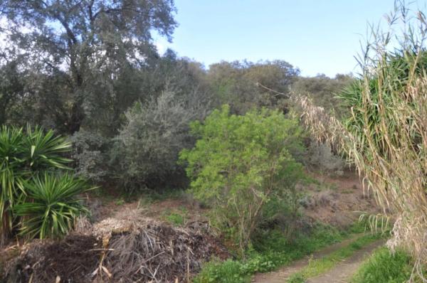 Terreno en Las Lomas - Las Torres - Terrazas de Alhaurín