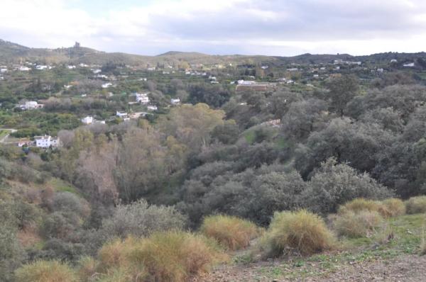 Terreno en Las Lomas - Las Torres - Terrazas de Alhaurín