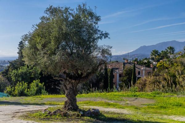 Terreno en calle Huerta del Fraile