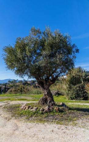 Terreno en calle Huerta del Fraile