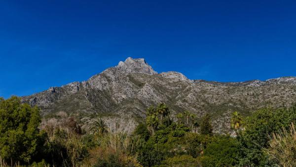 Terreno en calle Huerta del Fraile
